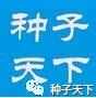 吉林将审定146个品种，其中71个玉米！