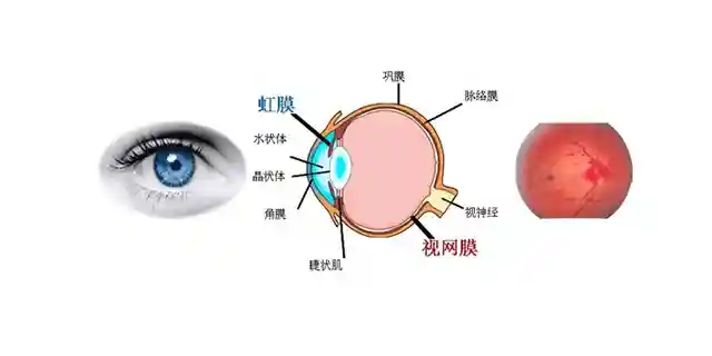 三星小米：虹膜识别果真要红！手机进入高科技时代