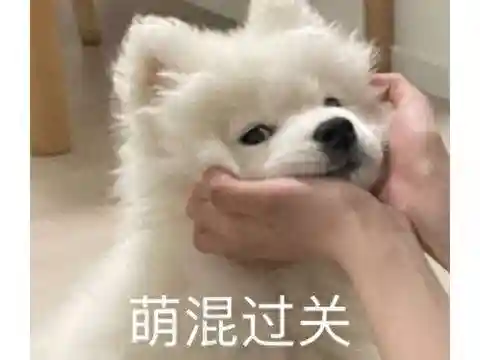 可联机的宝可梦+吸血鬼幸存者火了！超过10万人游玩！