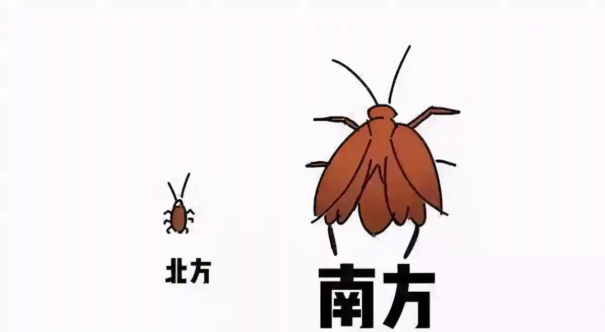 回南天 ‘潮人’的必备除湿妙招——内外兼顾